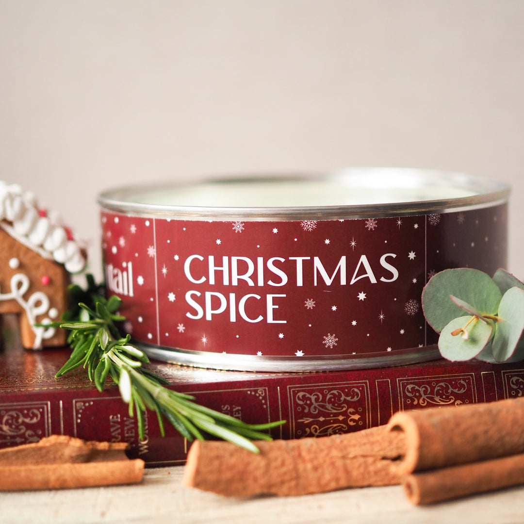 Triple Wick Christmas Spice Pintail Candle for sale at Source for the Goose, Devon