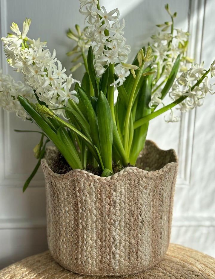 jute tulip basket with flowering hyacinth standing inside