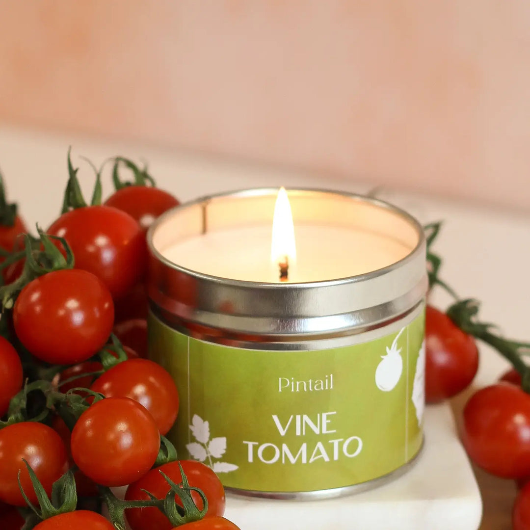 Single Wick Vine Tomato Pintail Candle surrounded by fresh tomatoes, bringing a lively garden scent to your home.
