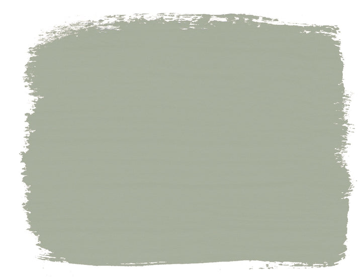 Swatch of Annie Sloan Coolabah Green Chalk Paint