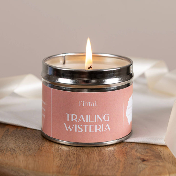 Pintail Candles- Trailing Wisteria Classic Tin showcasing a warm flame, perfect for enhancing ambiance.