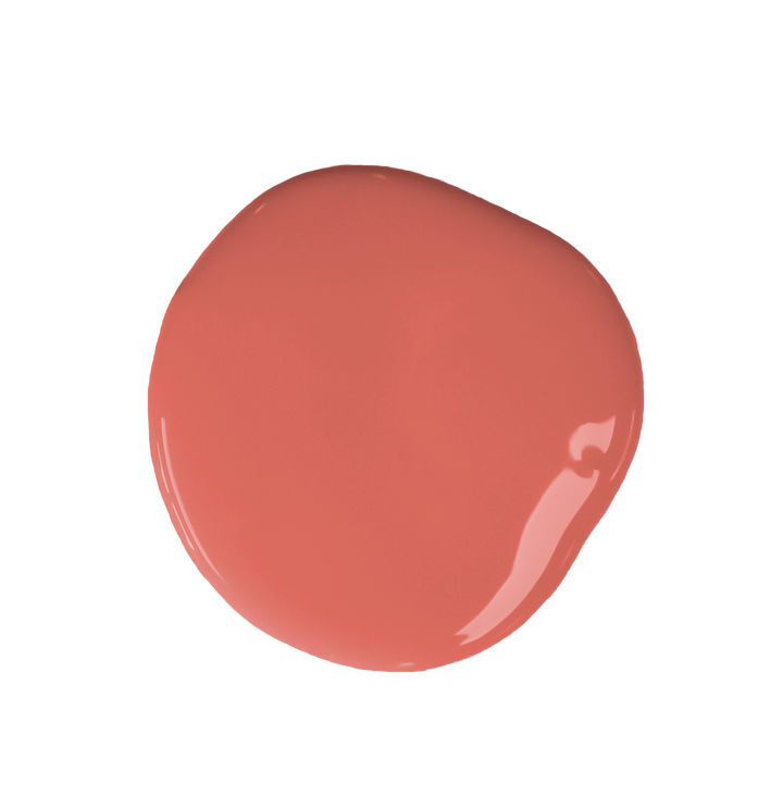 Sandalwood Red Chalk Paint 500ml from Source for the Goose, vibrant peach tone for home decor in Devon.