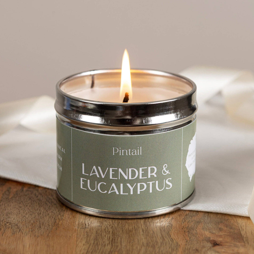 Pintail Candles - Lavender & Eucalyptus Classic Tin with a warm flame illuminating the serene aroma.