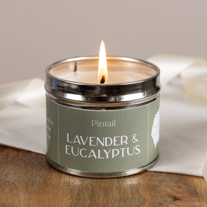 Pintail Candles - Lavender & Eucalyptus Classic Tin with a warm flame illuminating the serene aroma.