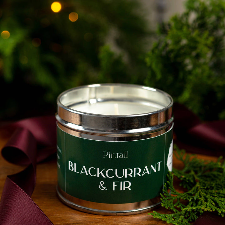 Pintail Candles - Blackcurrant & Fir Classic Tin with green label and silver lid, surrounded by festive greenery.