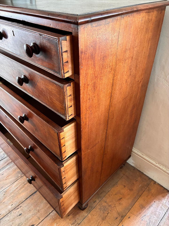 Tall Antique Mahogany Chest of Drawers with intricate details and classic design, showcasing traditional craftsmanship in Devon.