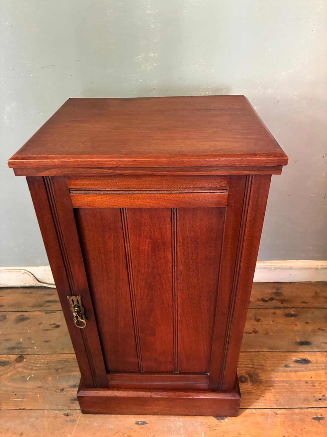 Antique Mahogany Bedside Cabinet featuring a single panel door and original brass handle, perfect for bedroom or living room decor.