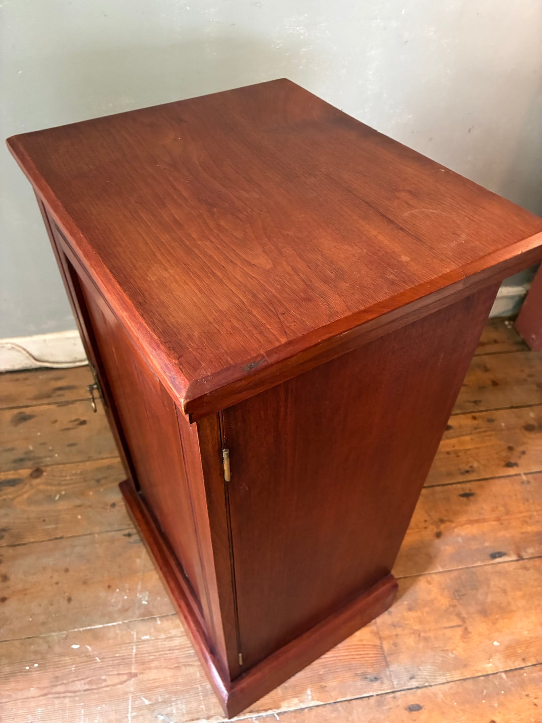 Antique Mahogany Bedside Cabinet featuring a single panel door and warm mahogany finish from Source for the Goose Devon.