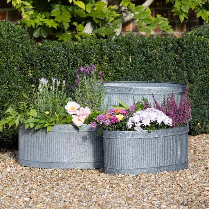 Oval Ribbed Zinc Planter showcasing colorful seasonal flowers in a garden setting, sourced from Source for the Goose Devon.