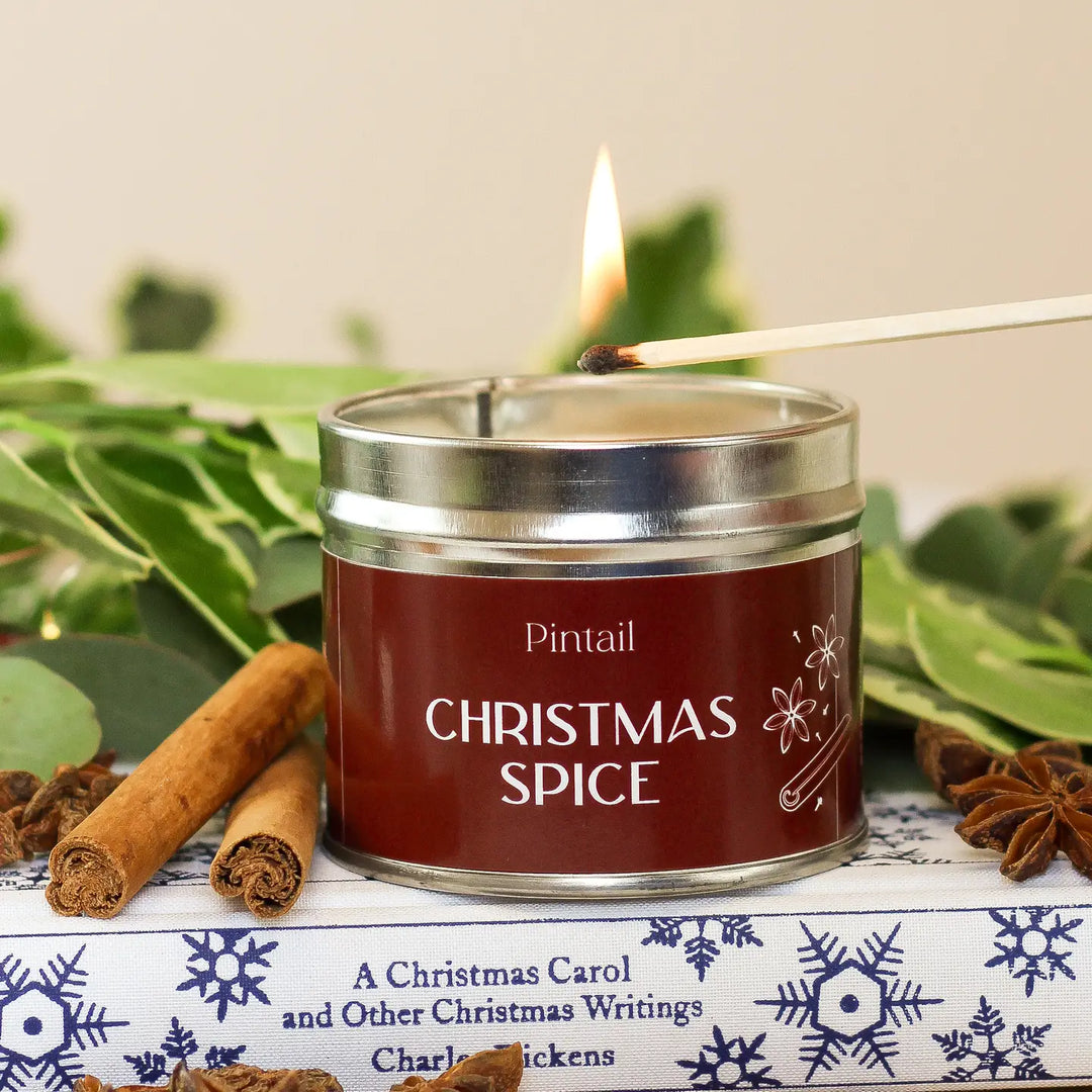 Single Wick Christmas Spice Pintail Candle with cinnamon and nutmeg, perfect for festive ambiance from Source for the Goose, Devon.