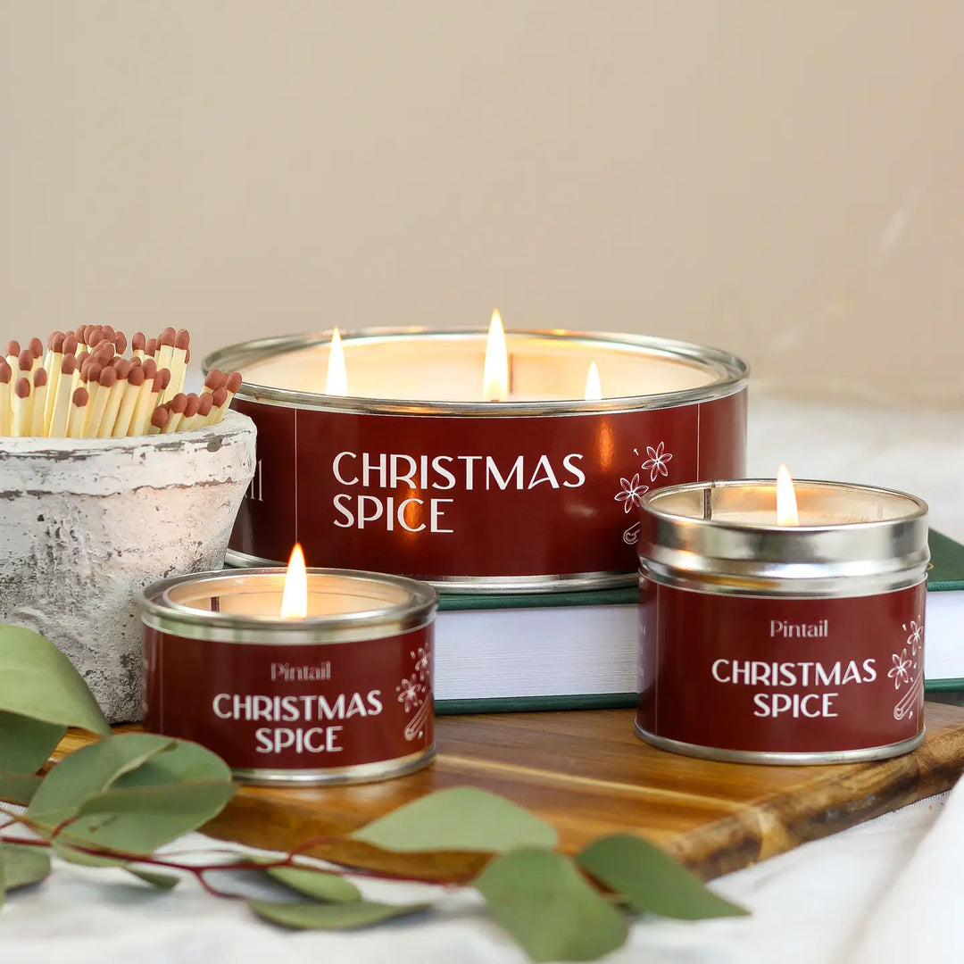 Single Wick Christmas Spice Pintail Candles by Source for the Goose, showcasing festive scents and holiday decor.