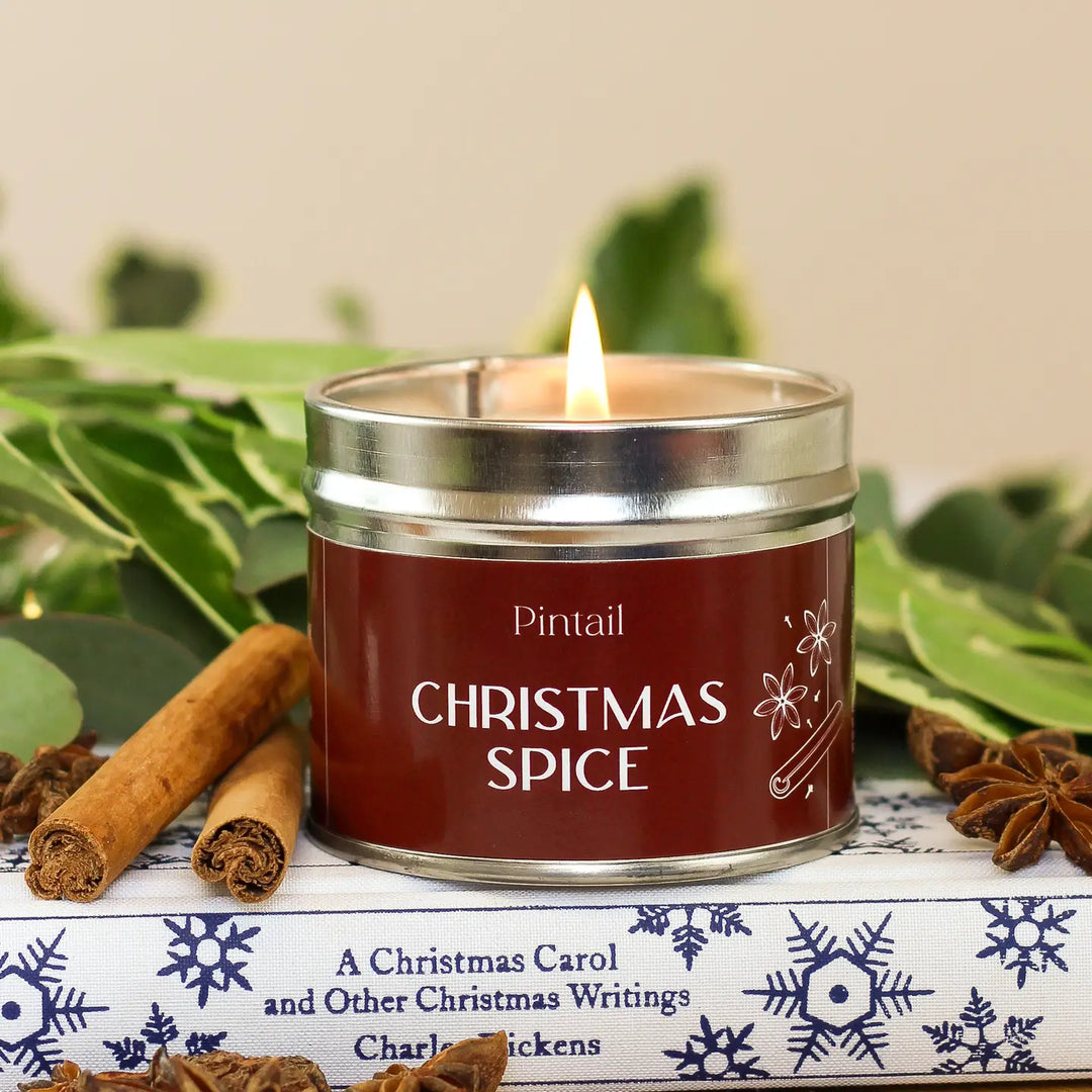 Single Wick Christmas Spice Pintail Candle from Source for the Goose, Devon, with festive aromas of cinnamon and nutmeg.