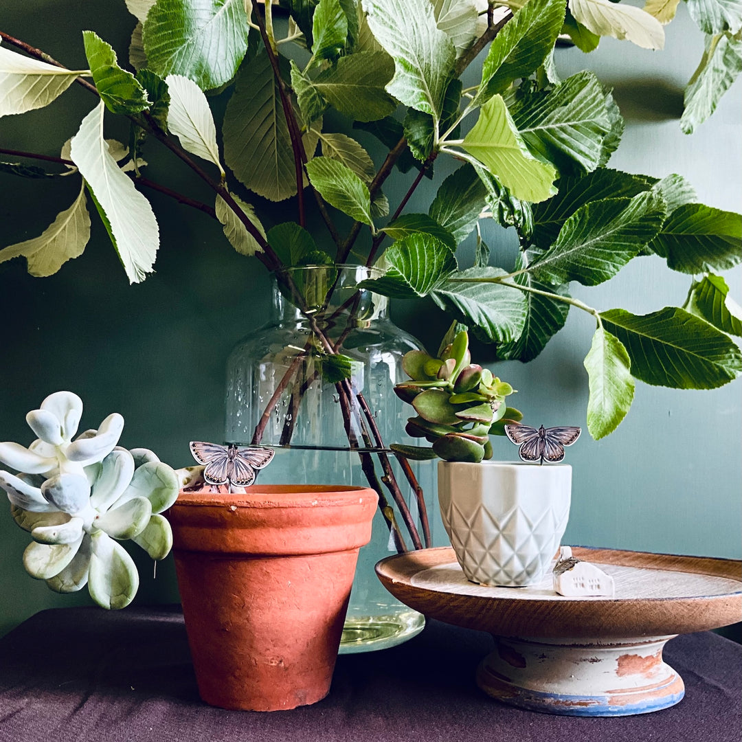 Whimsical pot sitters by Lily Faith Design with plants in terracotta and white pots, adding charm to indoor greenery.