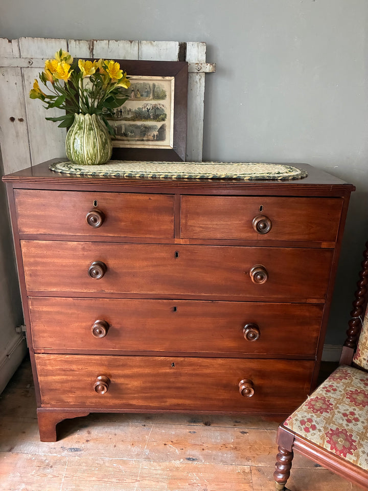 Georgian Antique Mahogany Chest of Drawers with yellow flowers on top, showcasing elegant storage.
