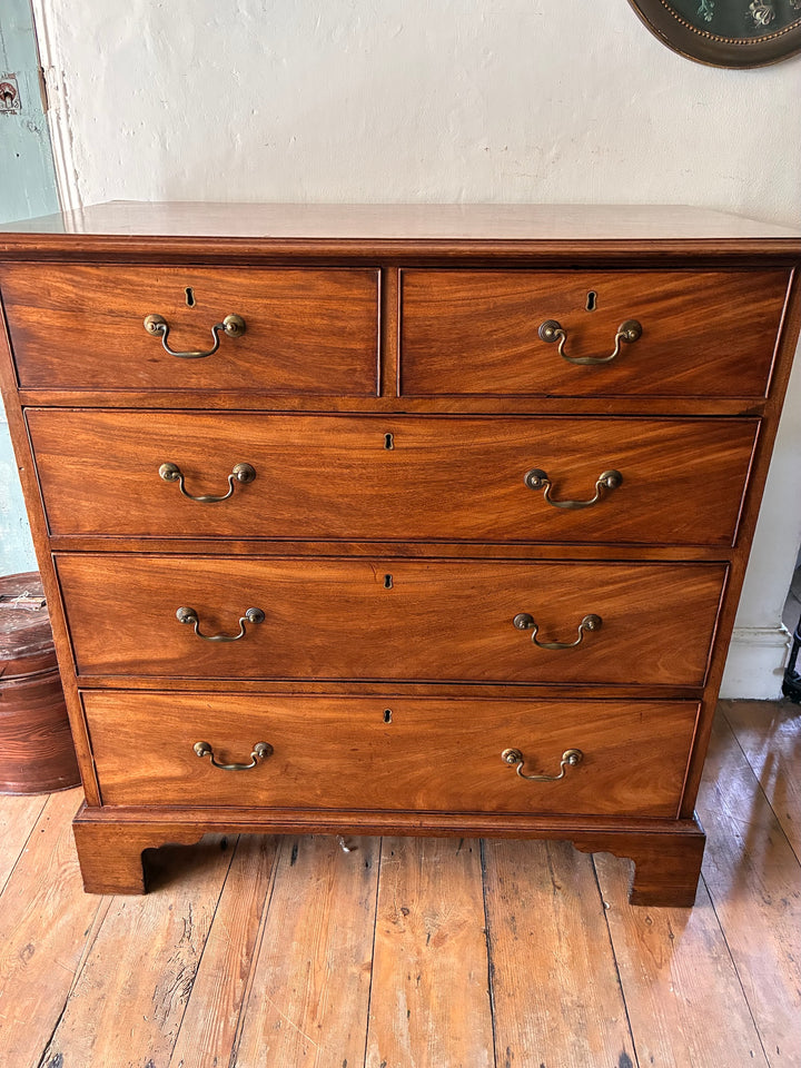 Antique Georgian Mahogany Chest of Drawers with brass handles, featuring two over three deep drawers from Source for the Goose Devon.
