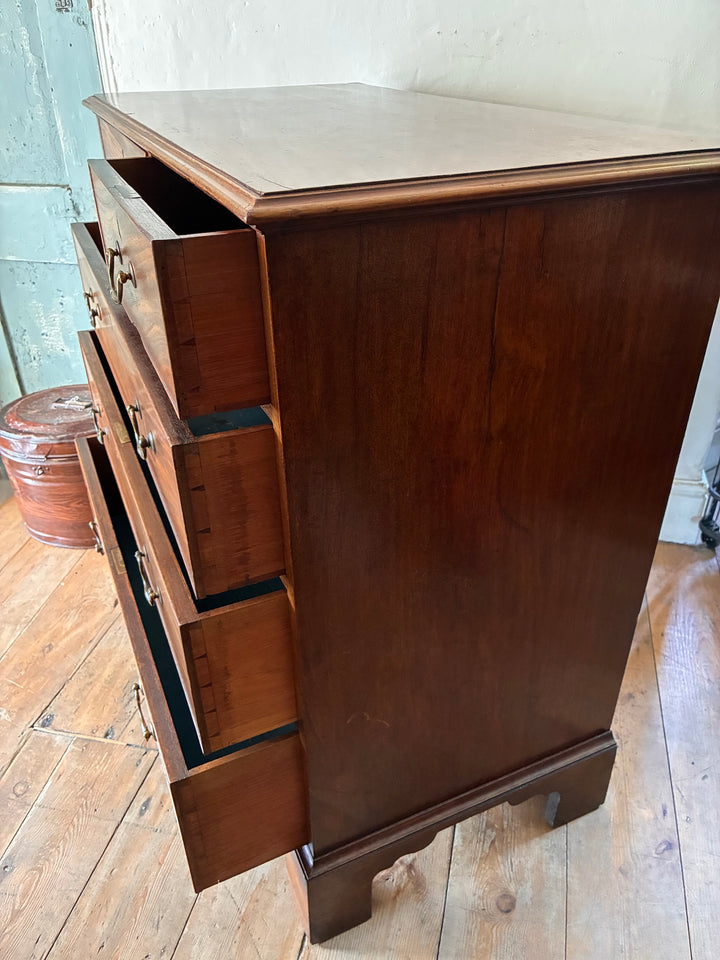 Antique Georgian Mahogany Chest of Drawers with original brass handles and blue paper lining, sourced from Source for the Goose, Devon.