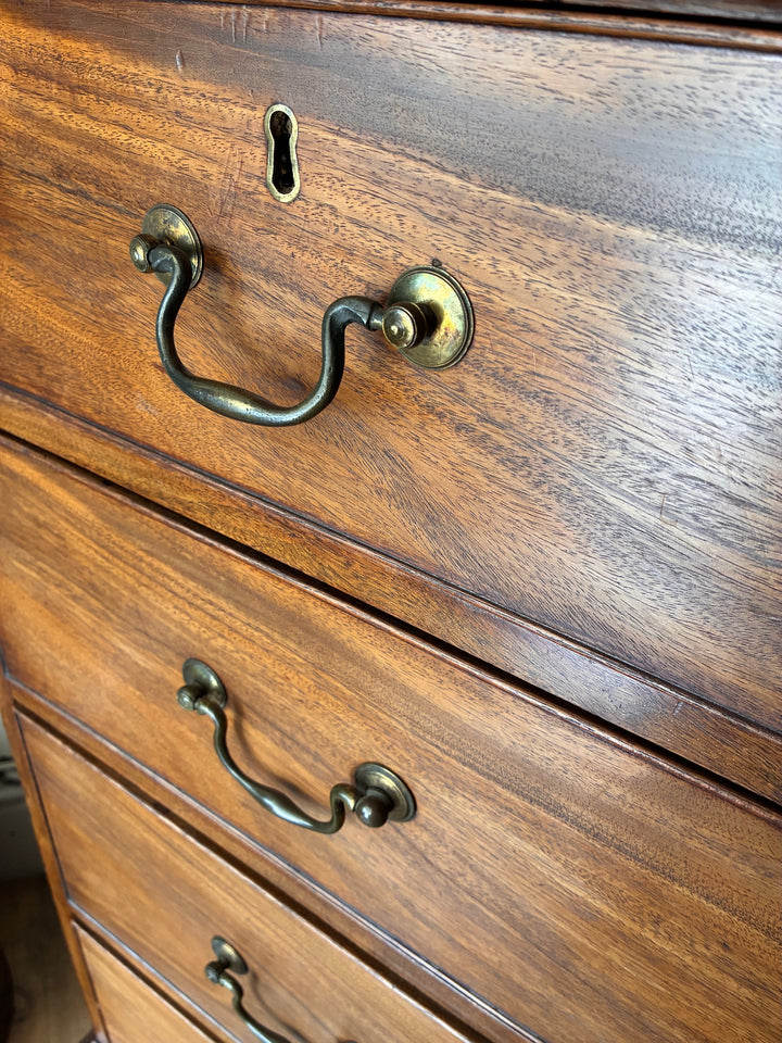 Close-up of antique Georgian mahogany chest drawer handles with brass swan neck design, showcasing elegant craftsmanship.