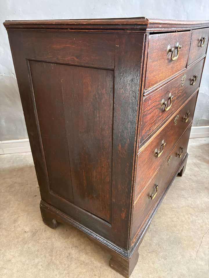 Antique Oak Georgian Chest of Drawers with traditional drop handles, showing rustic charm and elegance from Source for the Goose, Devon.