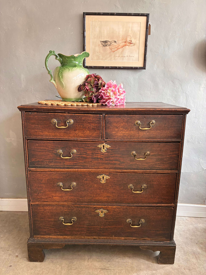 Antique Oak Georgian Chest of Drawers with brass handles, showcasing rustic charm and elegant design, from Source for the Goose Devon.