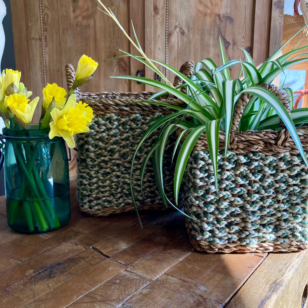 Olive green square jute basket with two handles being used as a plant holder