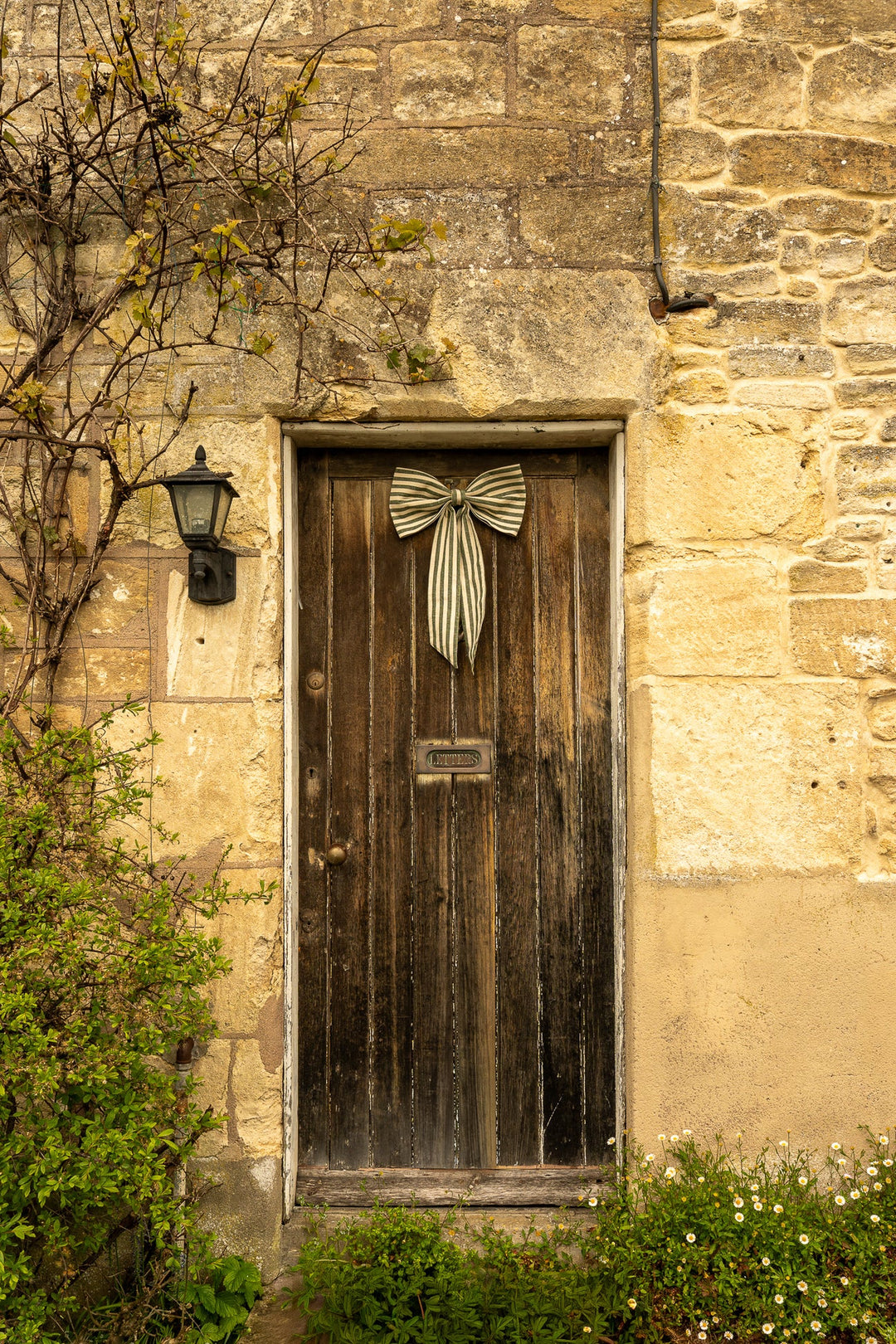Large Stripe Bow - Pine Green adorning a rustic wooden door, showcasing vintage style and cottage core charm.