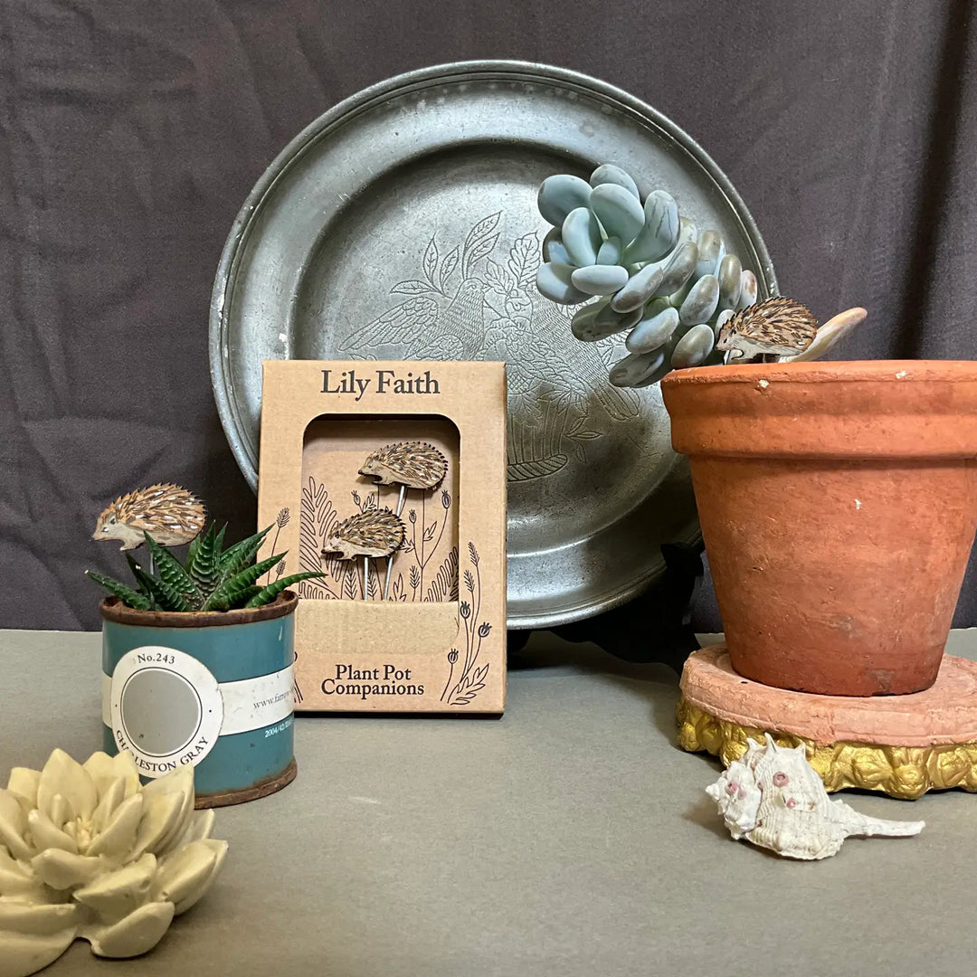 Whimsical Pot Sitter for Indoor Plants – Lily Faith Design