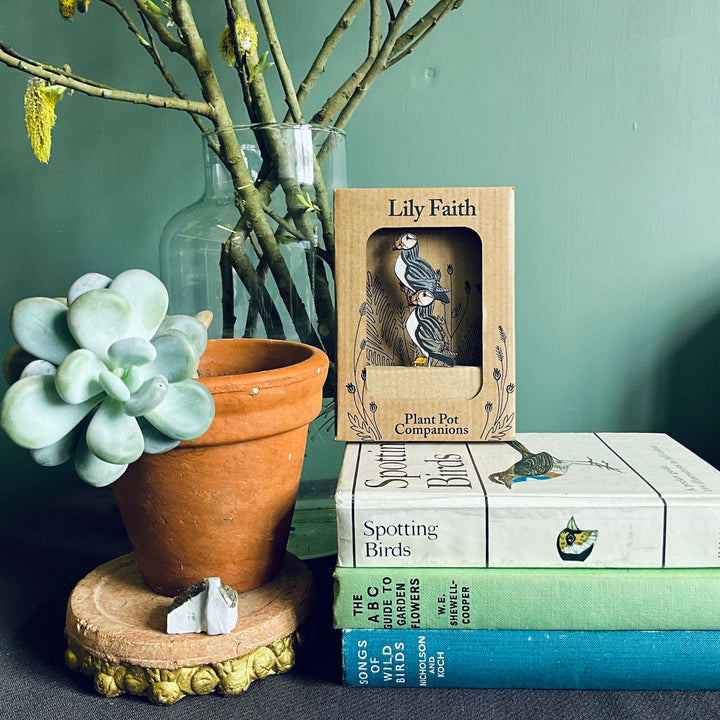 Whimsical pot sitter by Lily Faith on books next to a terracotta plant pot and succulent, showcasing Devon artistry.
