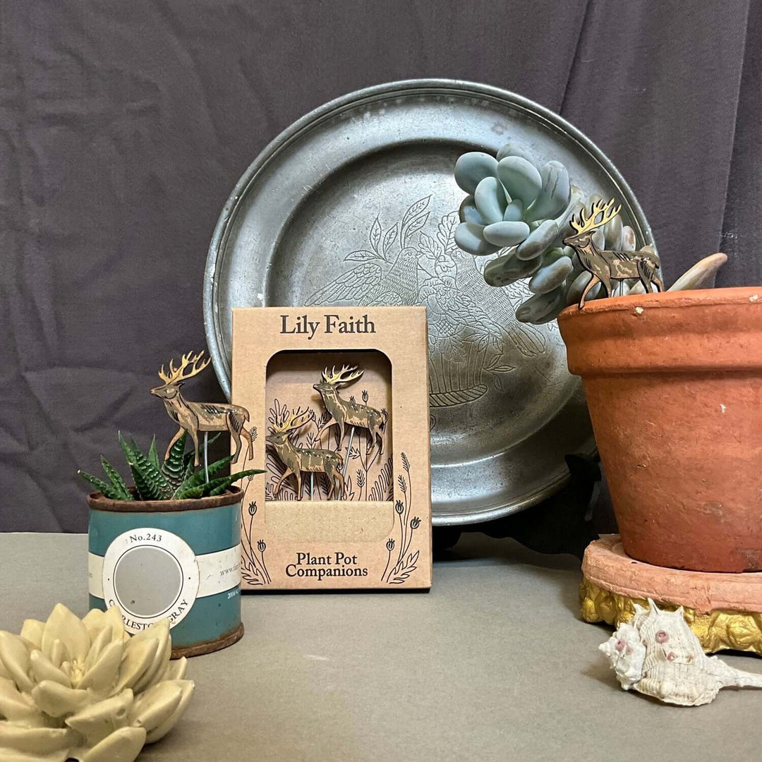 plant pot sitters Whimsical Pot Sitter for Indoor Plants – Lily Faith Design – Source for the Goose