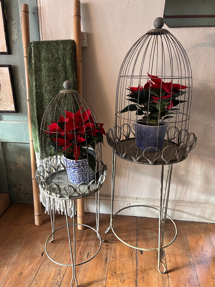 Bird Cage Style Plant Stand on Legs featuring potted red plants in decorative metal holders.