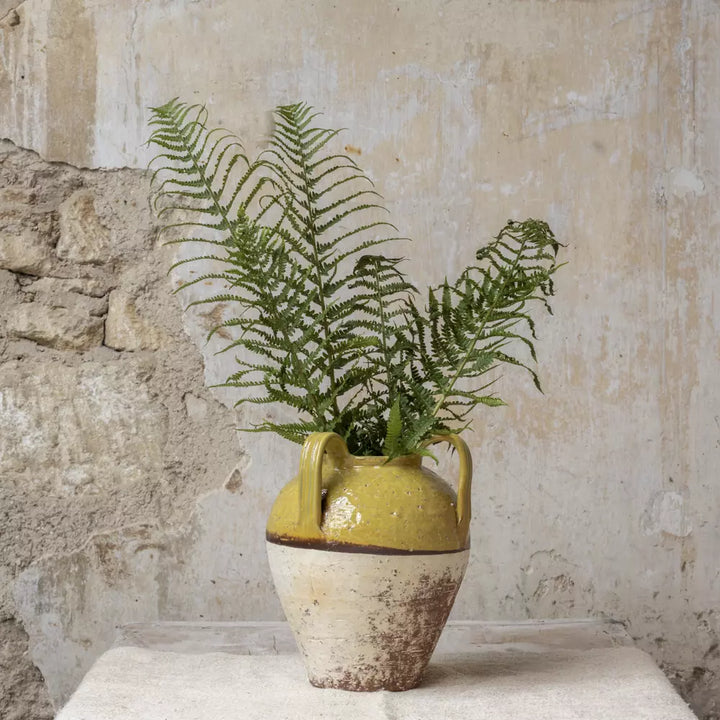 Mustard Yellow Rustic Glazed Vase with ferns, perfect for home decor from Source for the Goose Devon.