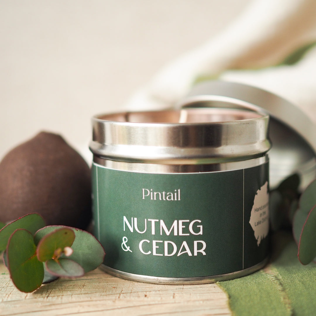 Nutmeg and Cedar Single Wick Pintail Candle for sale at Source