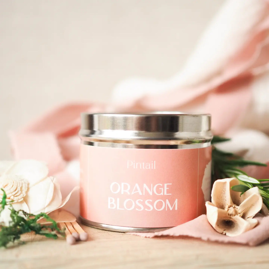 Orange Blossom Single Wick Pintail Candle for sale at Source for the Goose, Devon