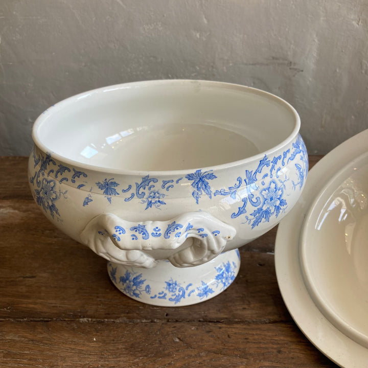 gorgeous soup tureen in pale blue and white design
