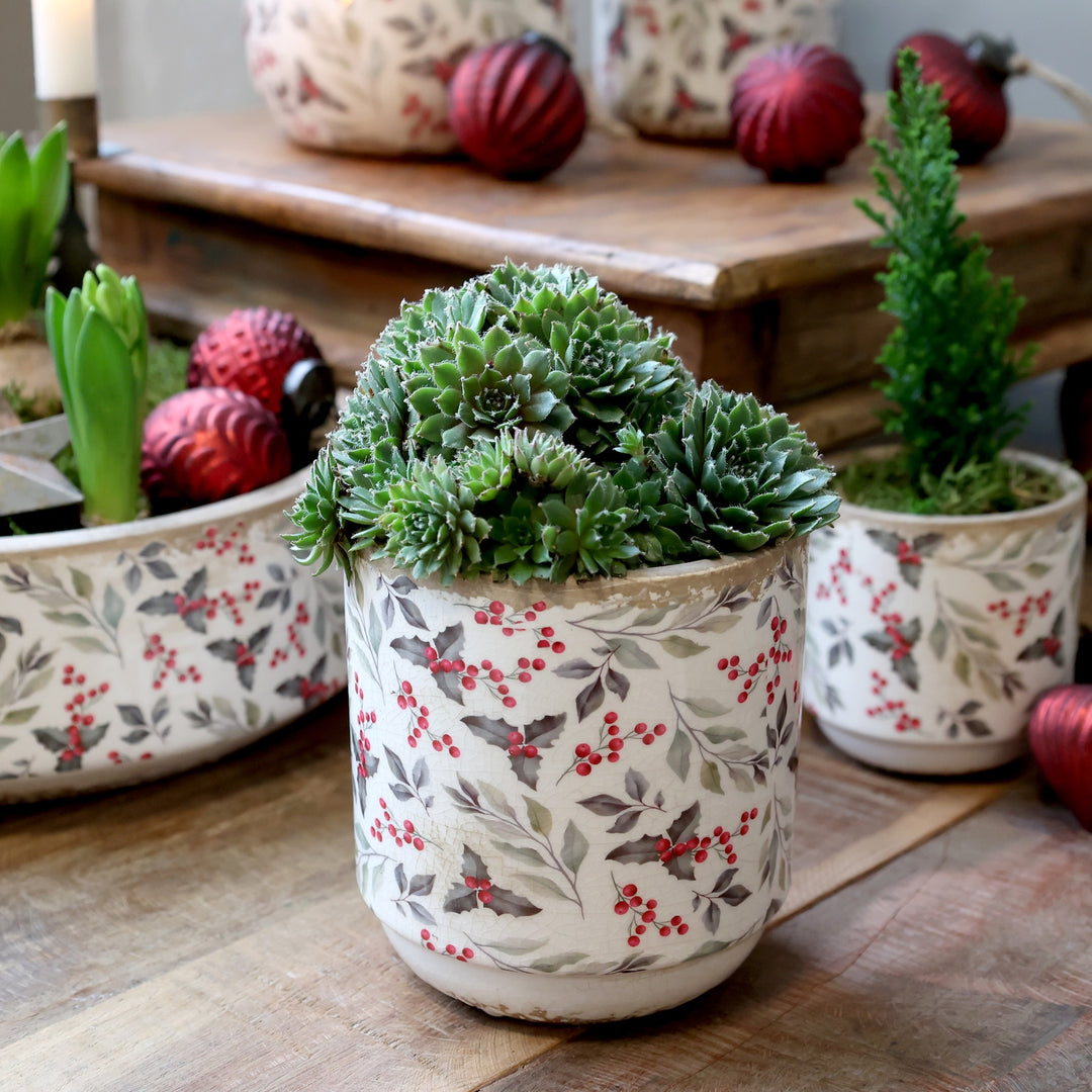 Pretty Holly and Berry Decorative Planter with succulents, perfect for festive home decor by Source for the Goose, Devon.
