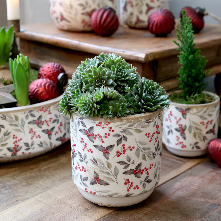 Pretty Holly and Berry Decorative Planter with succulents, perfect for festive home decor by Source for the Goose, Devon.