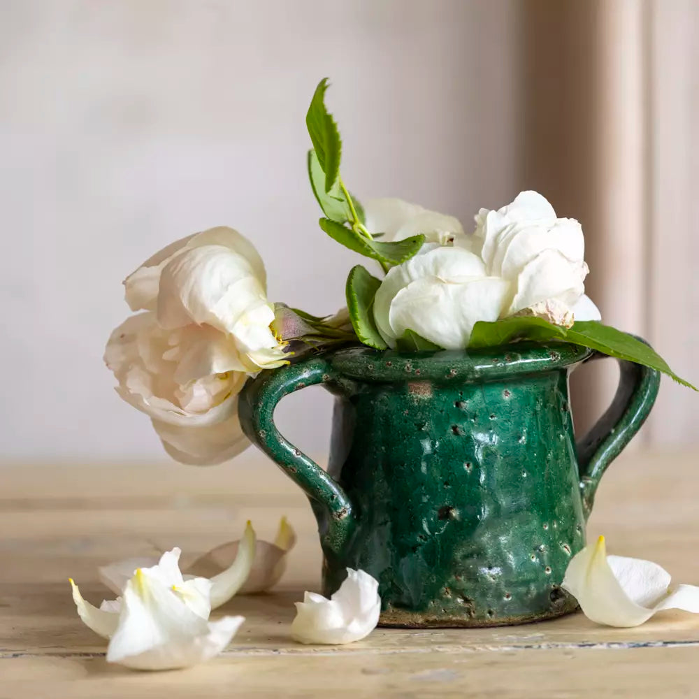 Small Rustic Green Terracotta Flower Pot with white flowers, perfect for home decor from Source for the Goose Devon.