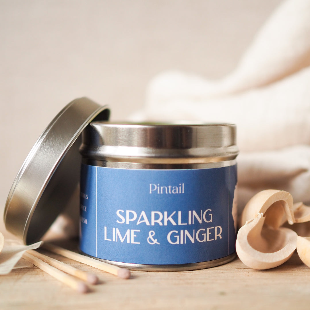 Sparkling Lime and Ginger Single Wick Pintail Candle for sale at Source for the Goose 