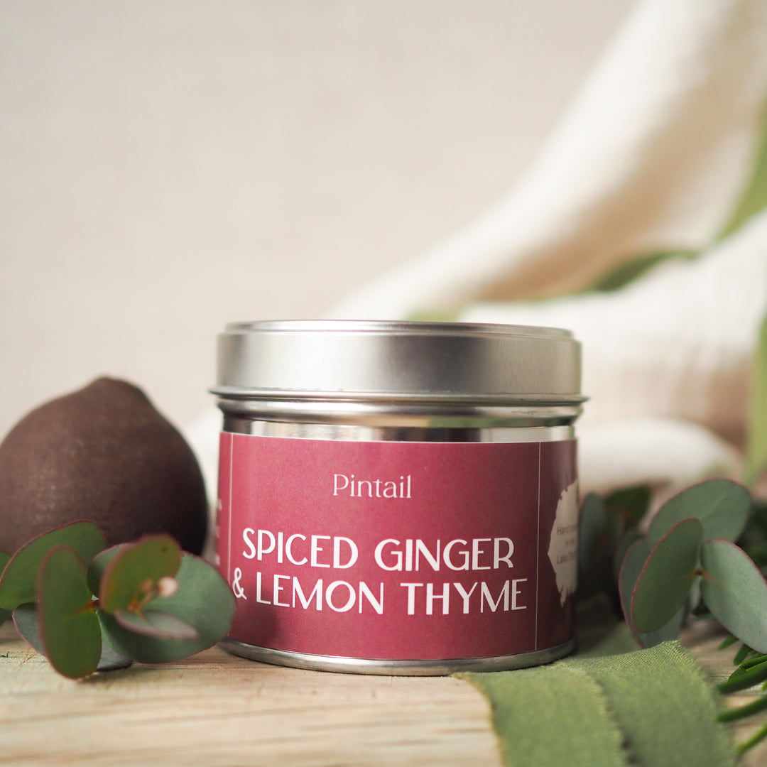 Spiced Ginger and Lemon Thyme Single Wick Pintail Candle for sale at Source for the Goose 