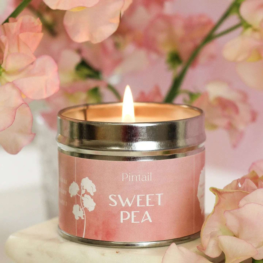 Single Wick Sweet Pea Pintail Candle for sale at Source for the Goose, Devon