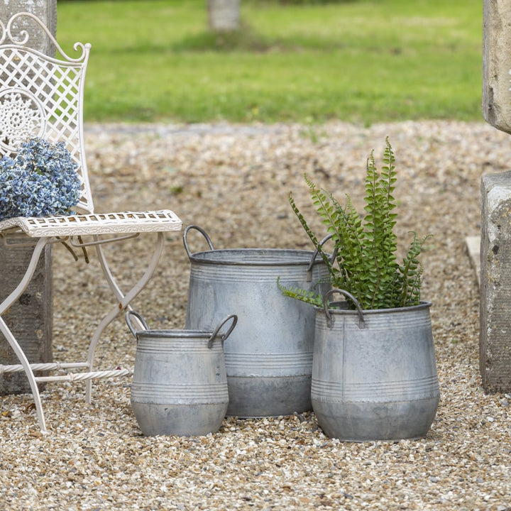 Galvanised zinc planters with handles, perfect for elegant outdoor decor, by Source for the Goose, Devon.