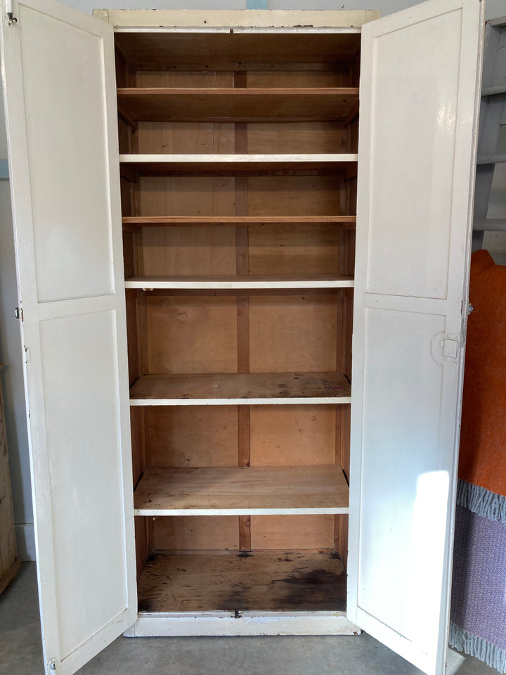 tall shelved cupboard with painted exterior