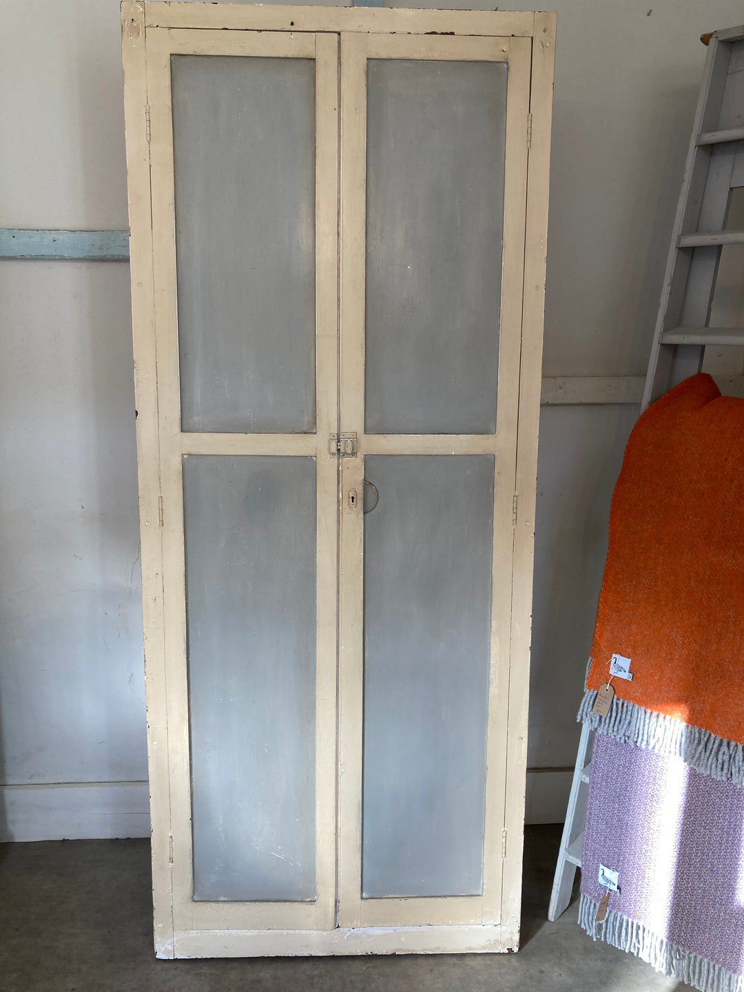 Tall Vintage Painted Cupboard for sale at Source for the Goose, South Molton, Devon