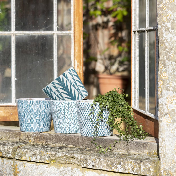 Teal colour plant pots standing on a sunny windowsill