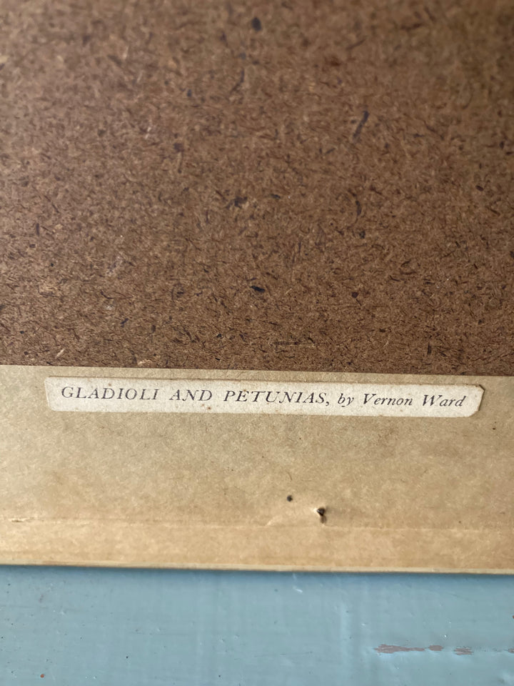 Label of Framed Vernon Ward Print featuring Gladioli and Petunias, showcasing artist details and vintage design.