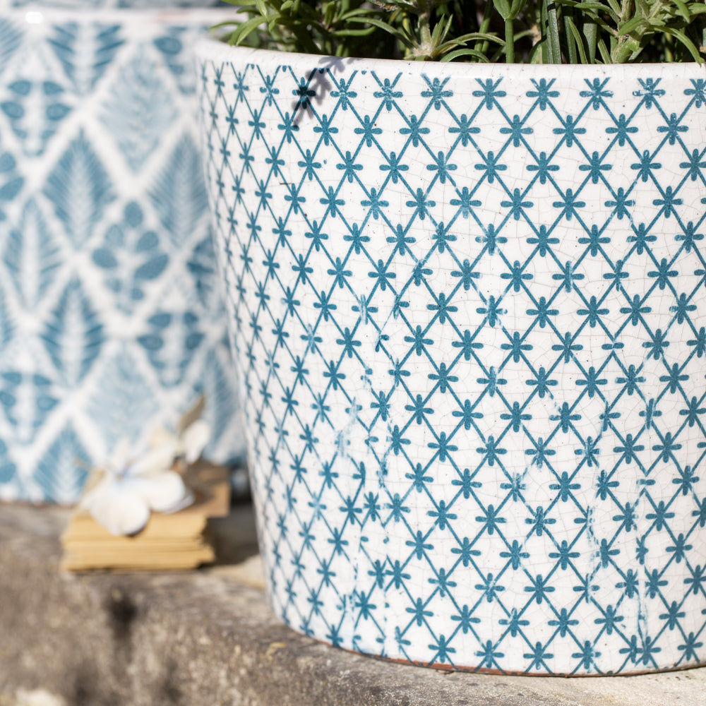 charming and gorgeous Harlequin design Teal coloured plant pot
