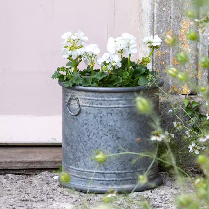 Wilton Round Zinc Planter with white flowers, ideal for indoor and outdoor settings, enhancing garden aesthetics.