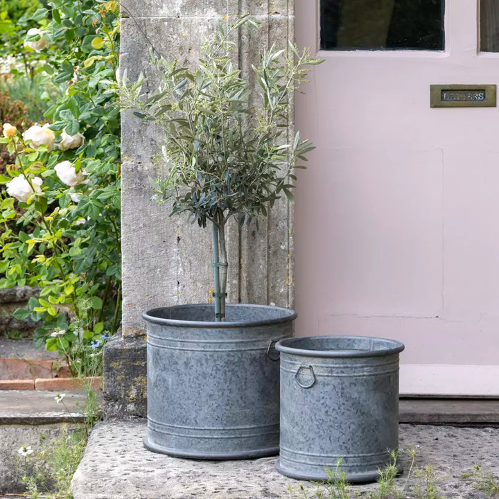 Wilton Round Zinc Planter with small tree and flowers, enhancing outdoor decor for your garden.