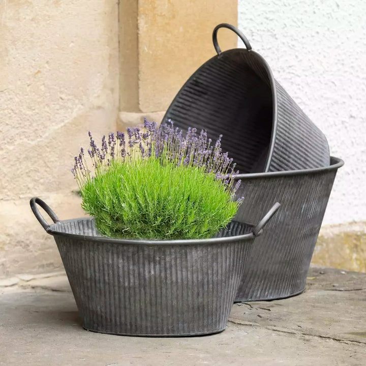 Zinc galvanised bath planter with ribbed design and blooming lavender, sourced from Source for the Goose, Devon.