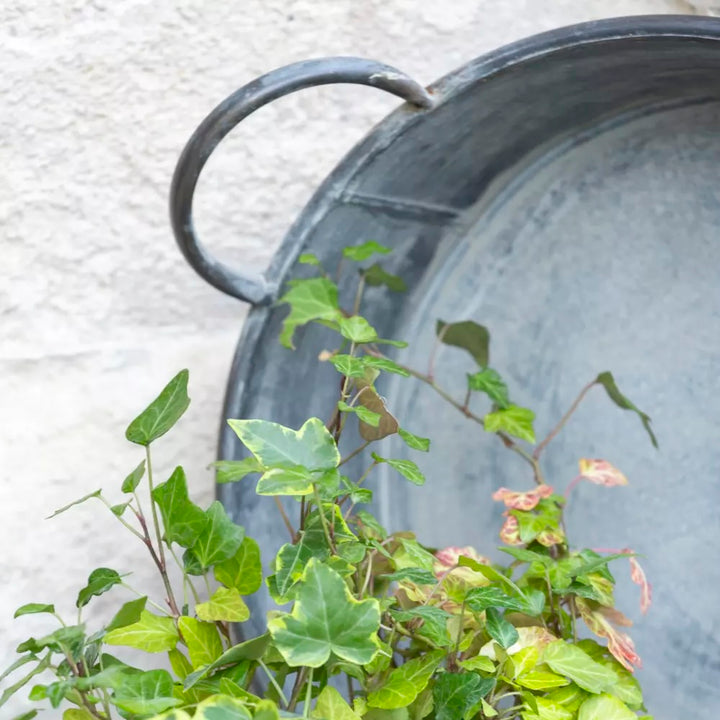 Zinc Round Tray Planter With Handles filled with vines, featuring antique metal finish and sturdy handles.