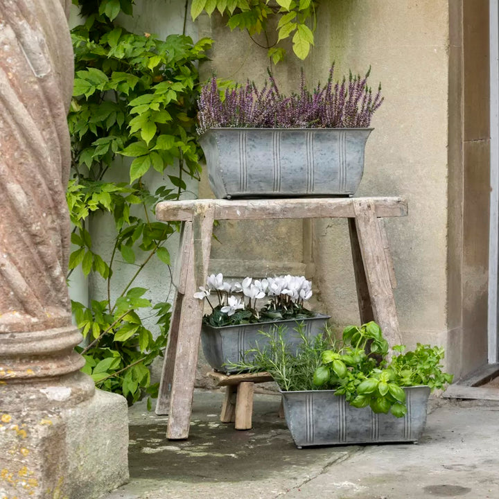 Zinc Ornate Planter With Feet displayed on a wooden stand, showcasing vibrant plants in a charming outdoor setting.